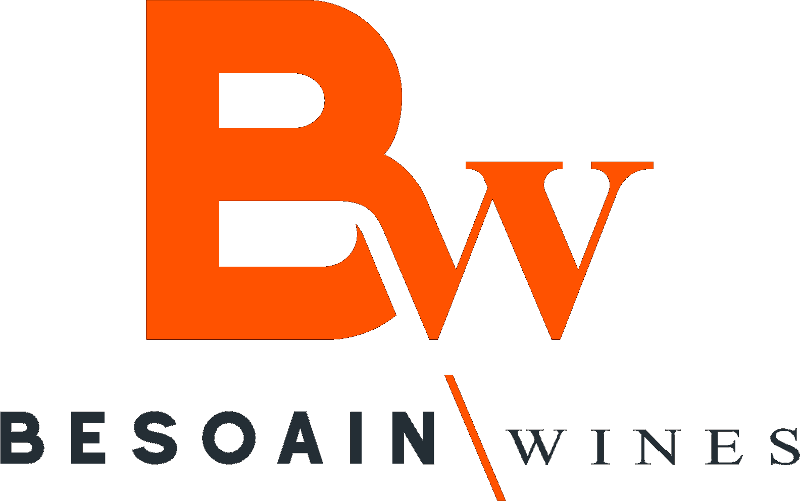 Besoain Wines