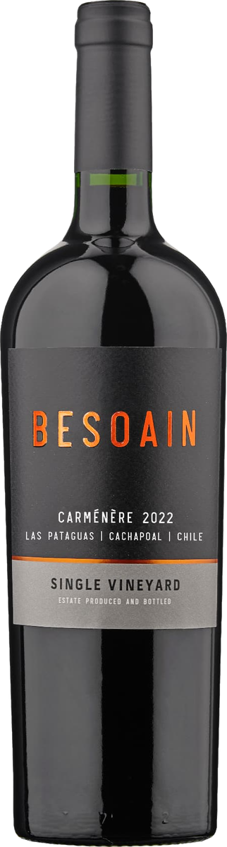 Botella Besoain Single Vineyard Carménère 2022, Las Pataguas, Cachapoal