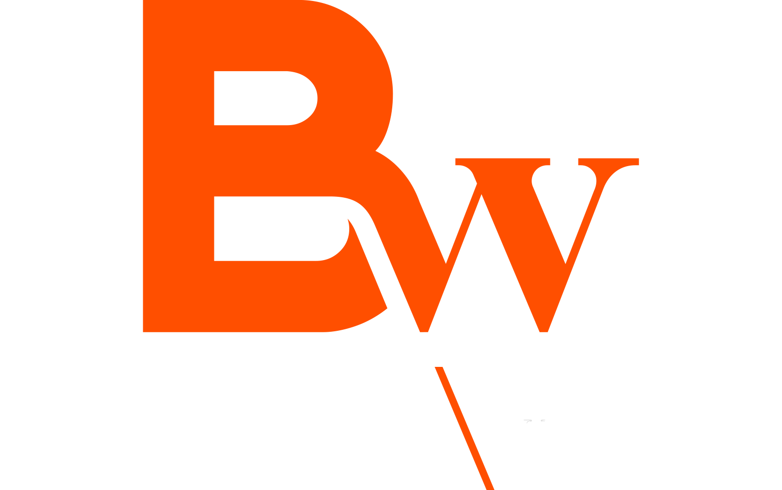 Besoain Wines
