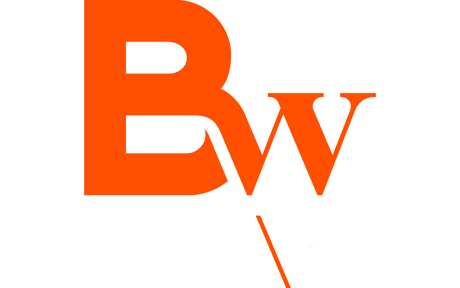 Besoain Wines