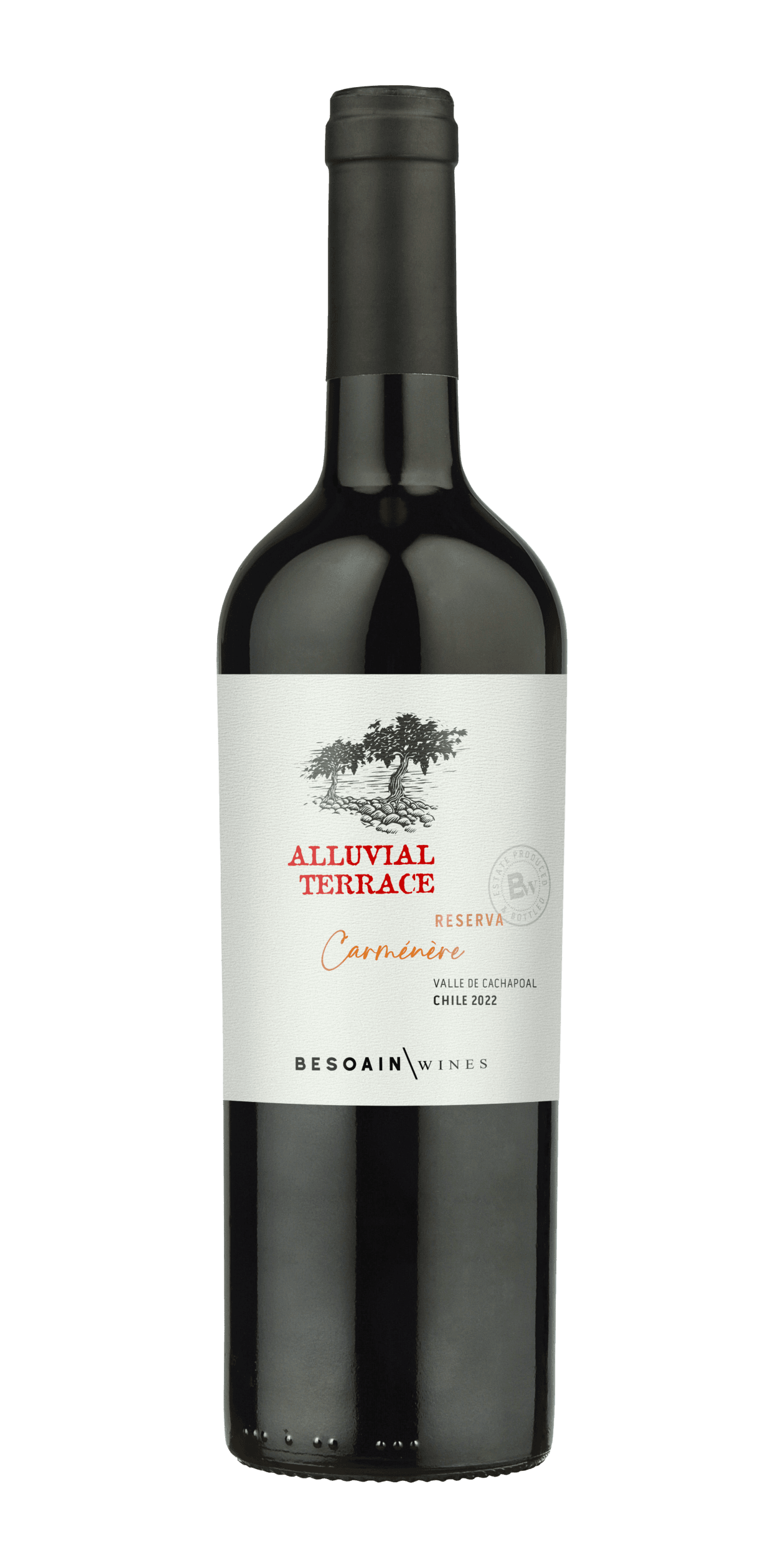 Reserva Carménère - Besoain Wines